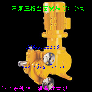 FROYϵҺѹĤ
